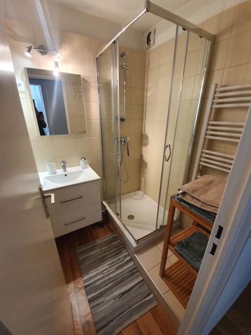 Ferienwohnung Superbe 2 Pieces, Centre Vue Mont-Blanc Avec Balcon Et Parking Gratuit Chamonix Exterior foto